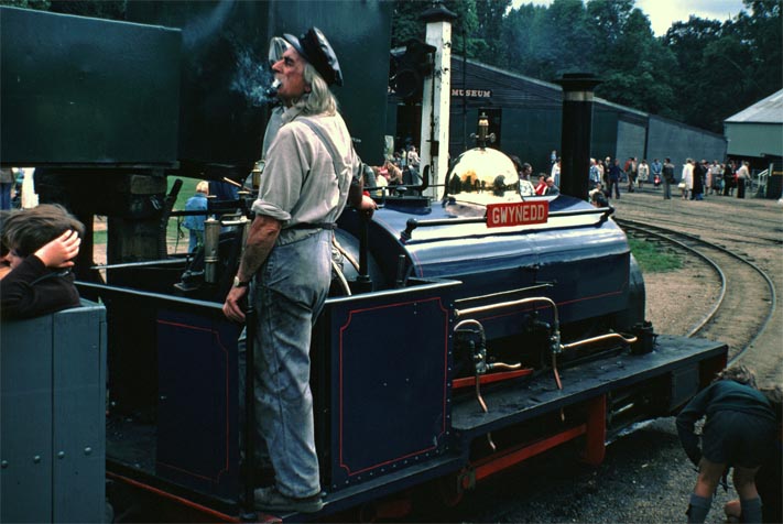 Gwynedd at Bressingham