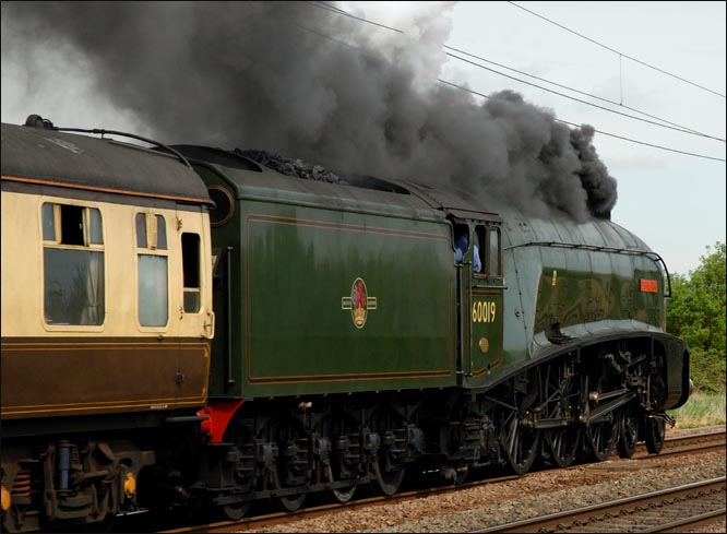 Bittern at Conington with lots of black smoke