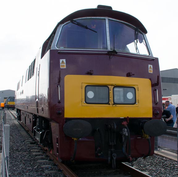 D.1015 Western Champion 