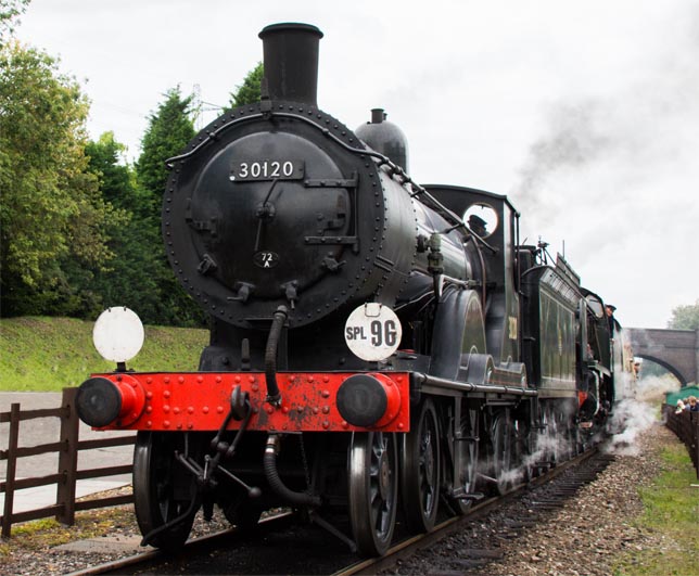 LSWR T9 4-4-0 30120 and 4-4-0 Repton 