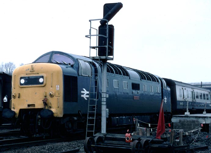 Class 55 Alcicon 