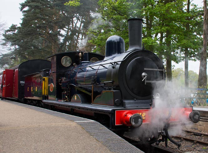 GER Y14 no.564 at Holt