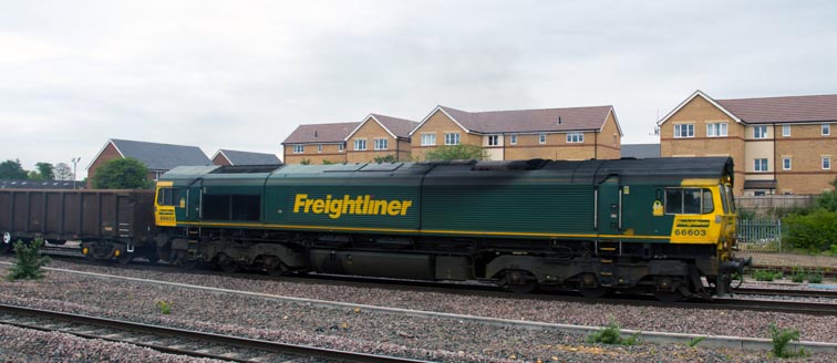 Freightliner class 66603 