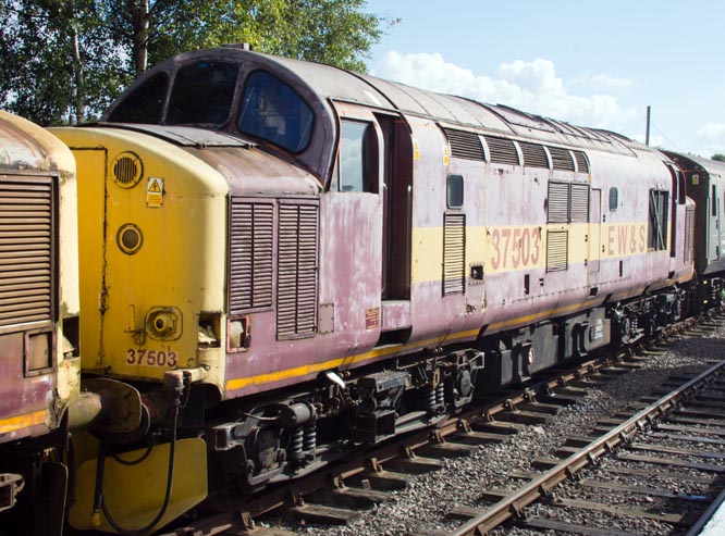 Class 37503 Class 37503