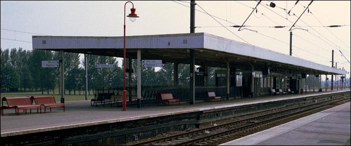 The island platform platform at Ely are platforms 2 and 3 
