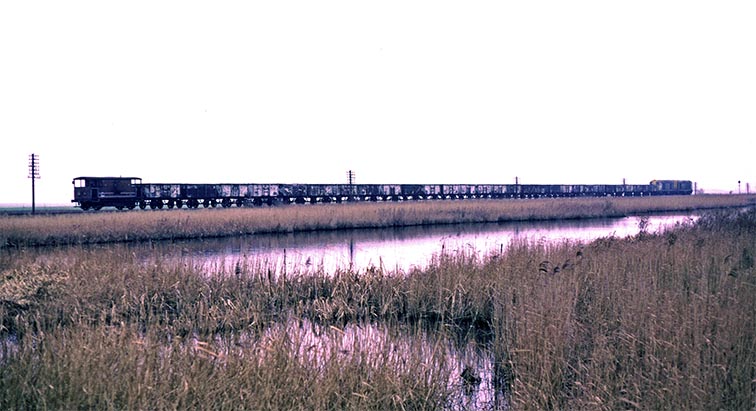 A pair of class 20s between Guyhirn and Murrow